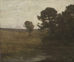 Edge of the Forest