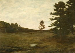 Solitude