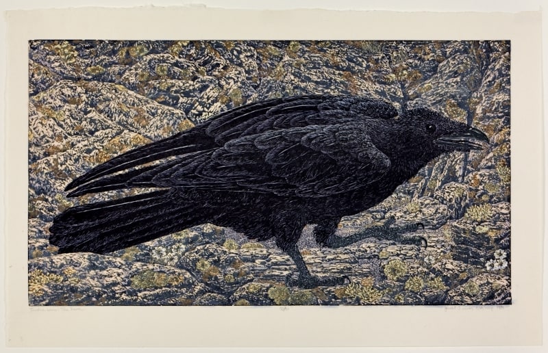The Raven from Tundra
