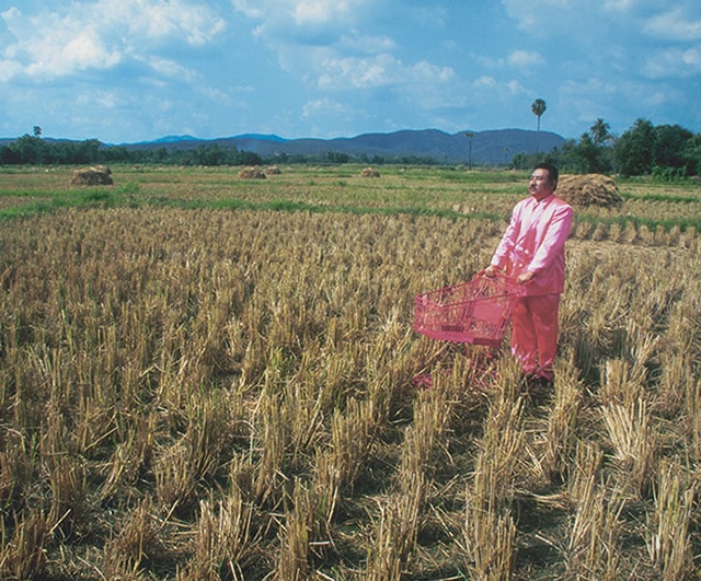 Pink Man on Tour #6 (Amazing Rice Field, Northern Thailand)
