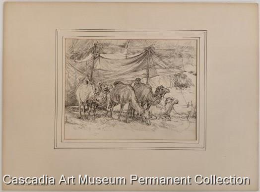 Cole's Circus Camels