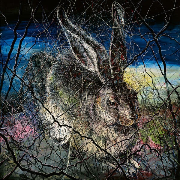 Hare