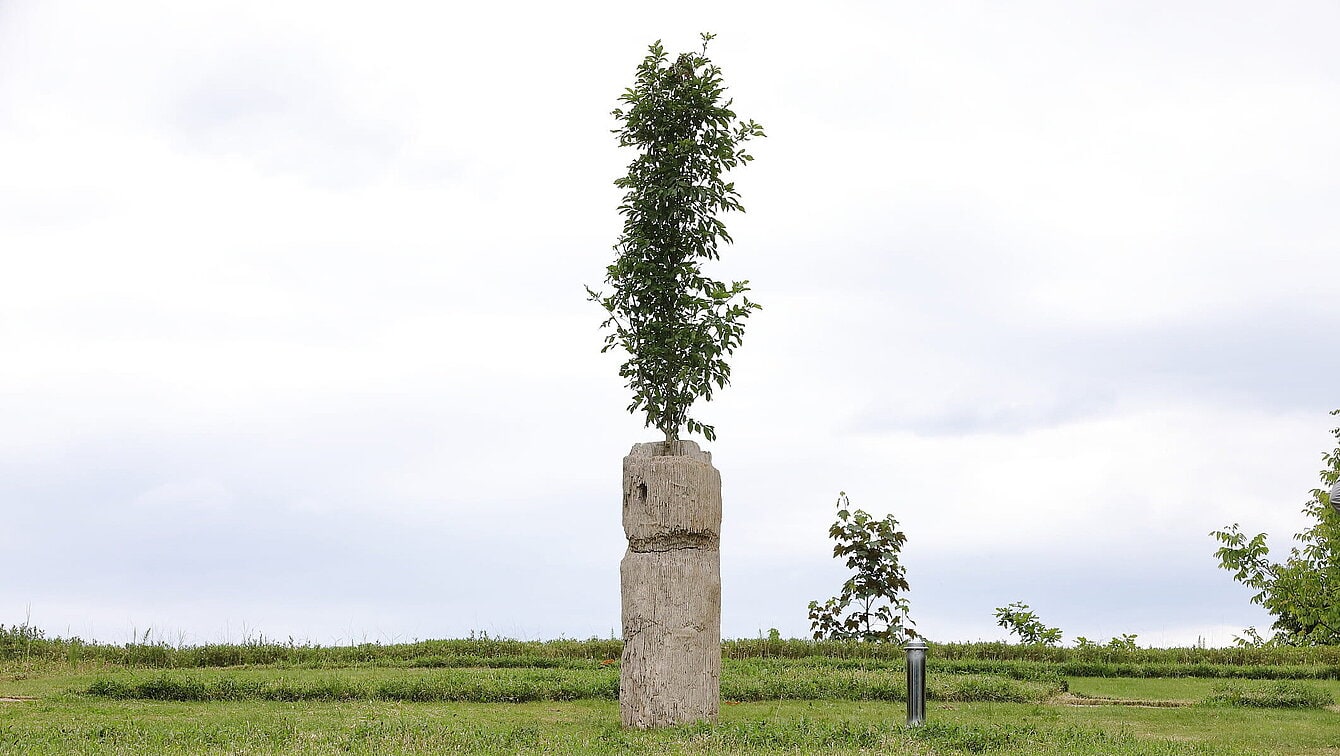Zeit, Zuwendung und Raum (Time, Care and Space)