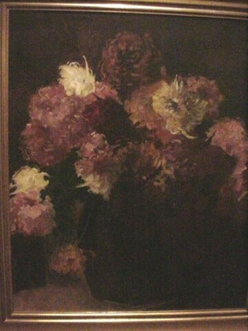 Chrysanthemum