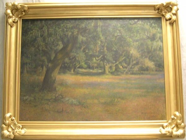 Sunlit Meadow