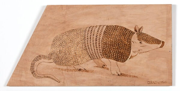 Untitled (armadillo)