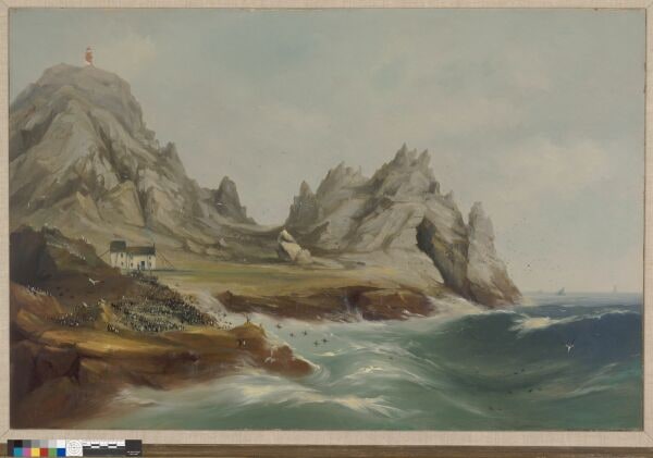 Farallones