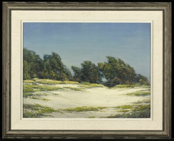 San Francisco Sand Dunes, Lakeside