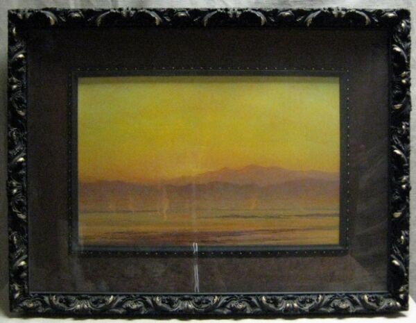 Mojave Desert