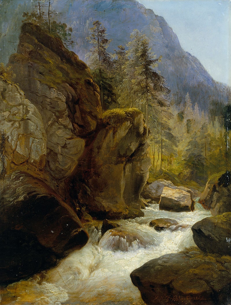 Forest Stream