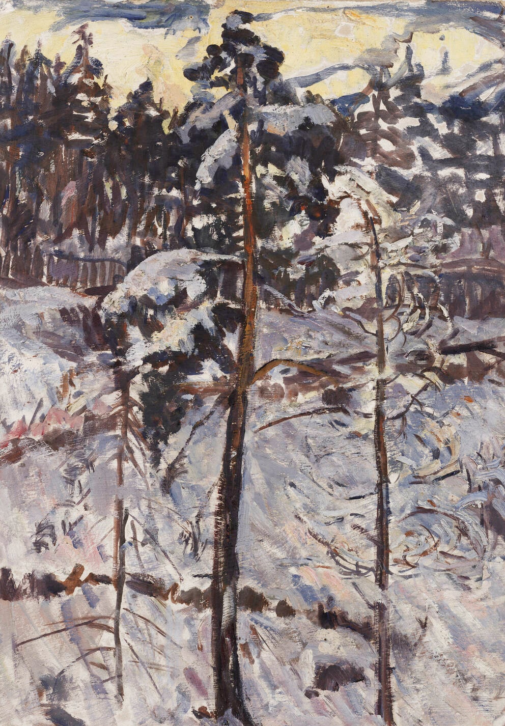 Little Tree in the Snow