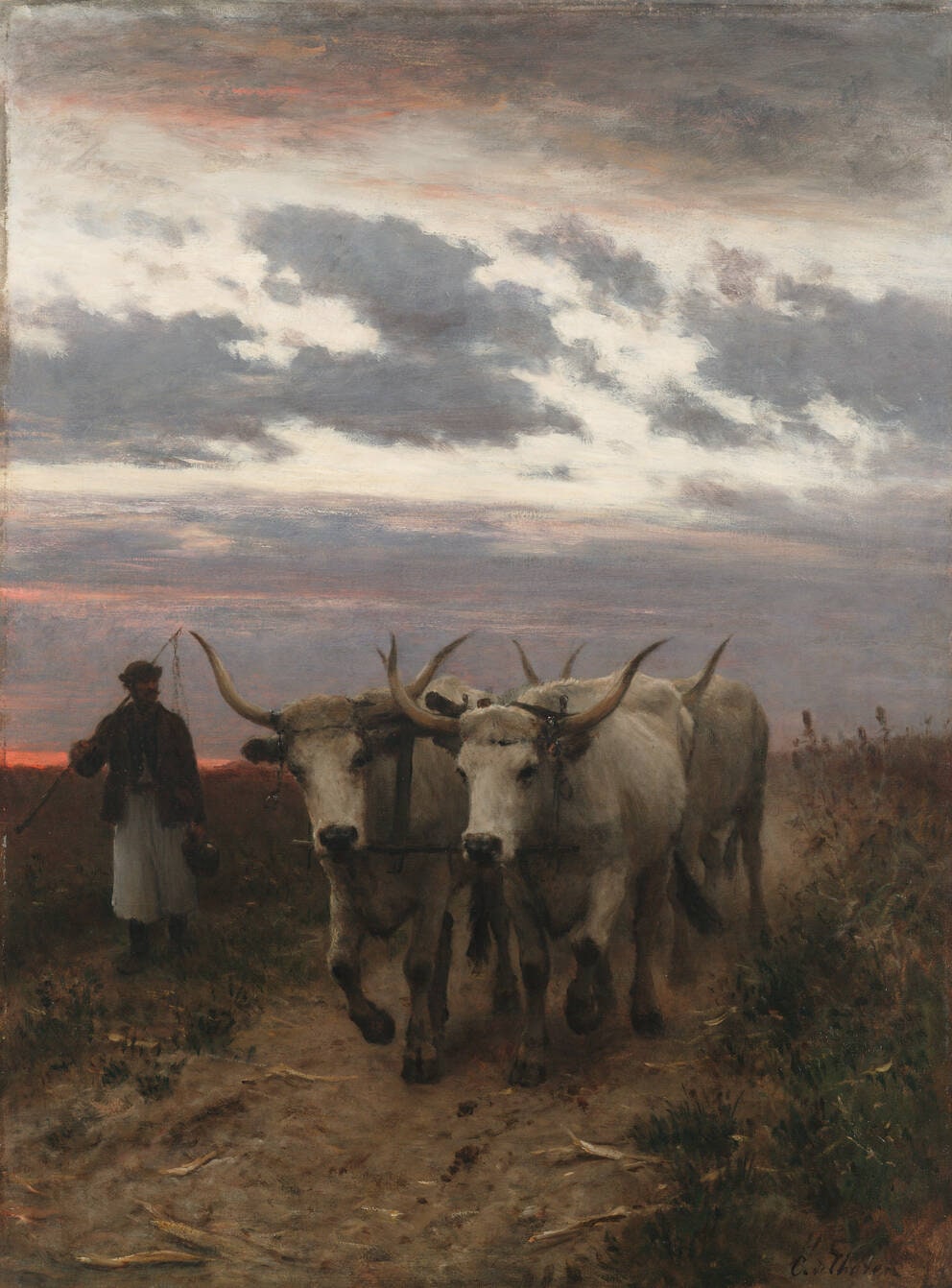 Returning Home