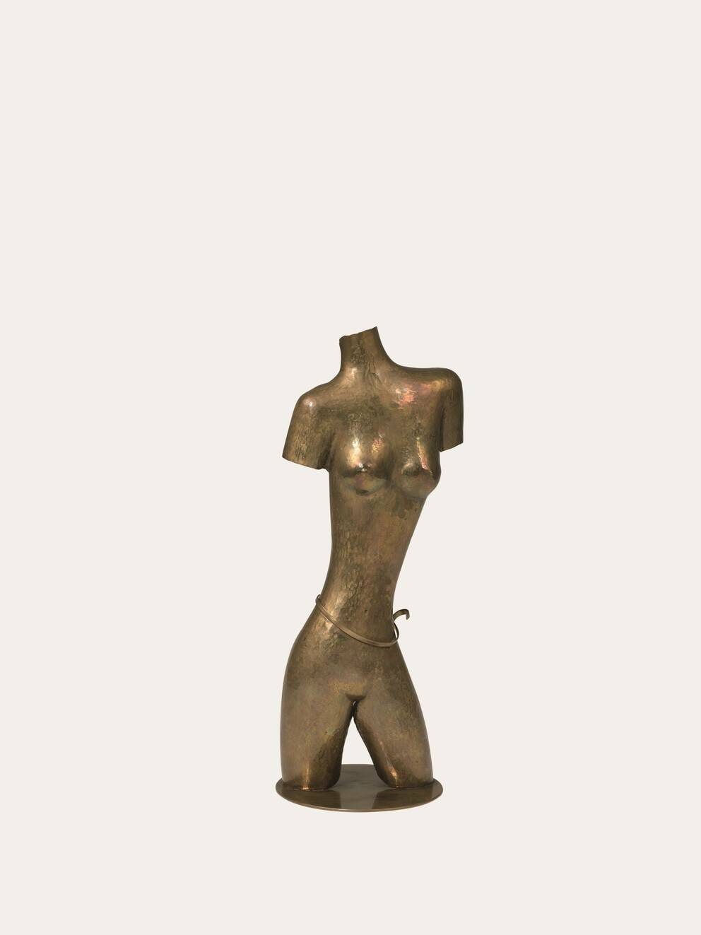 Torso