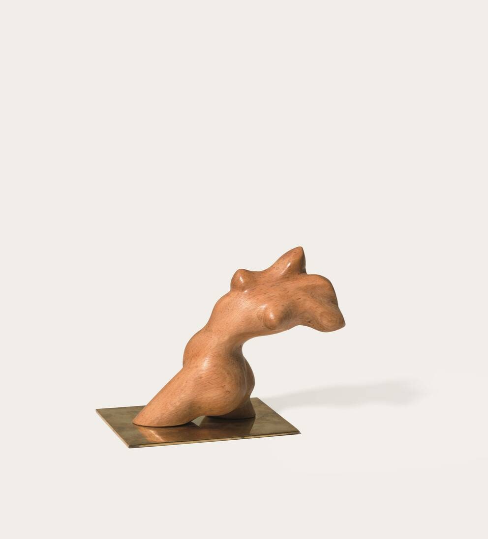 Torso