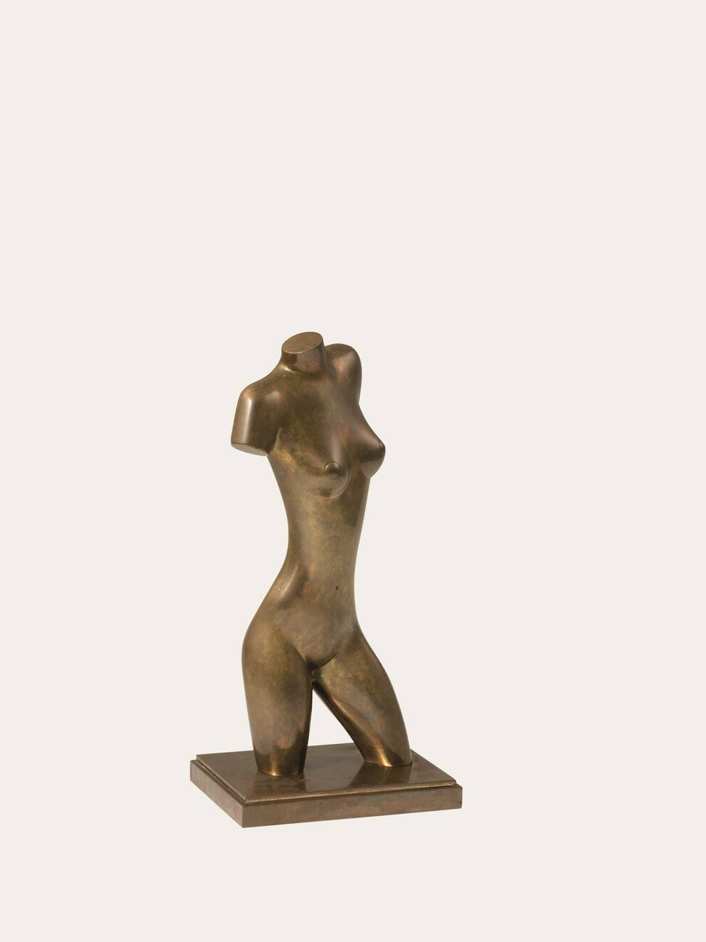 Torso