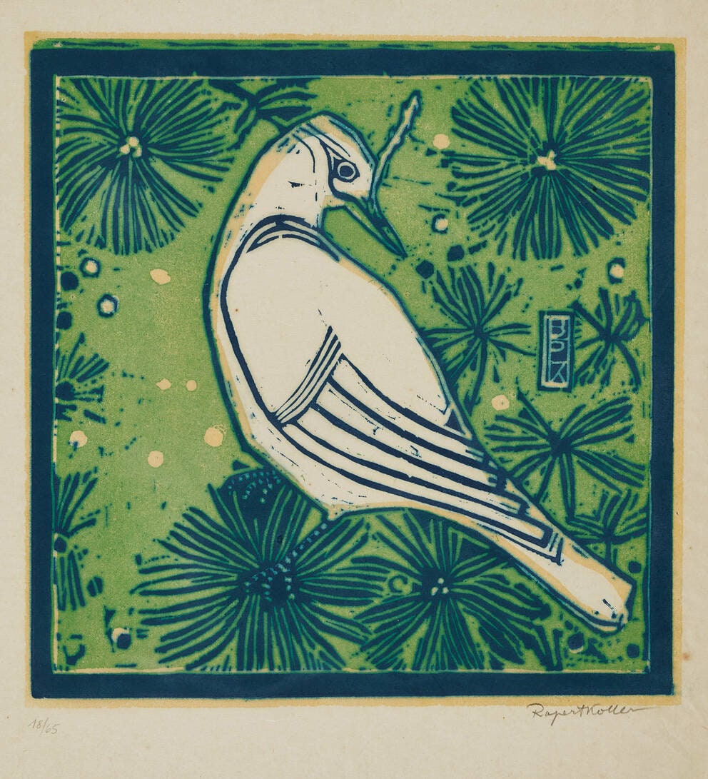 Bird of paradise