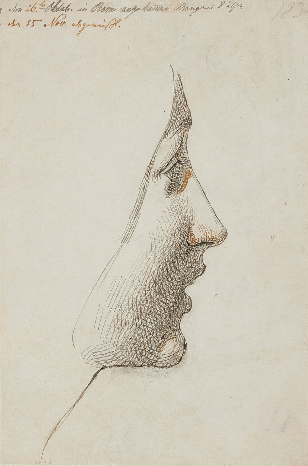 Study of a Female Head