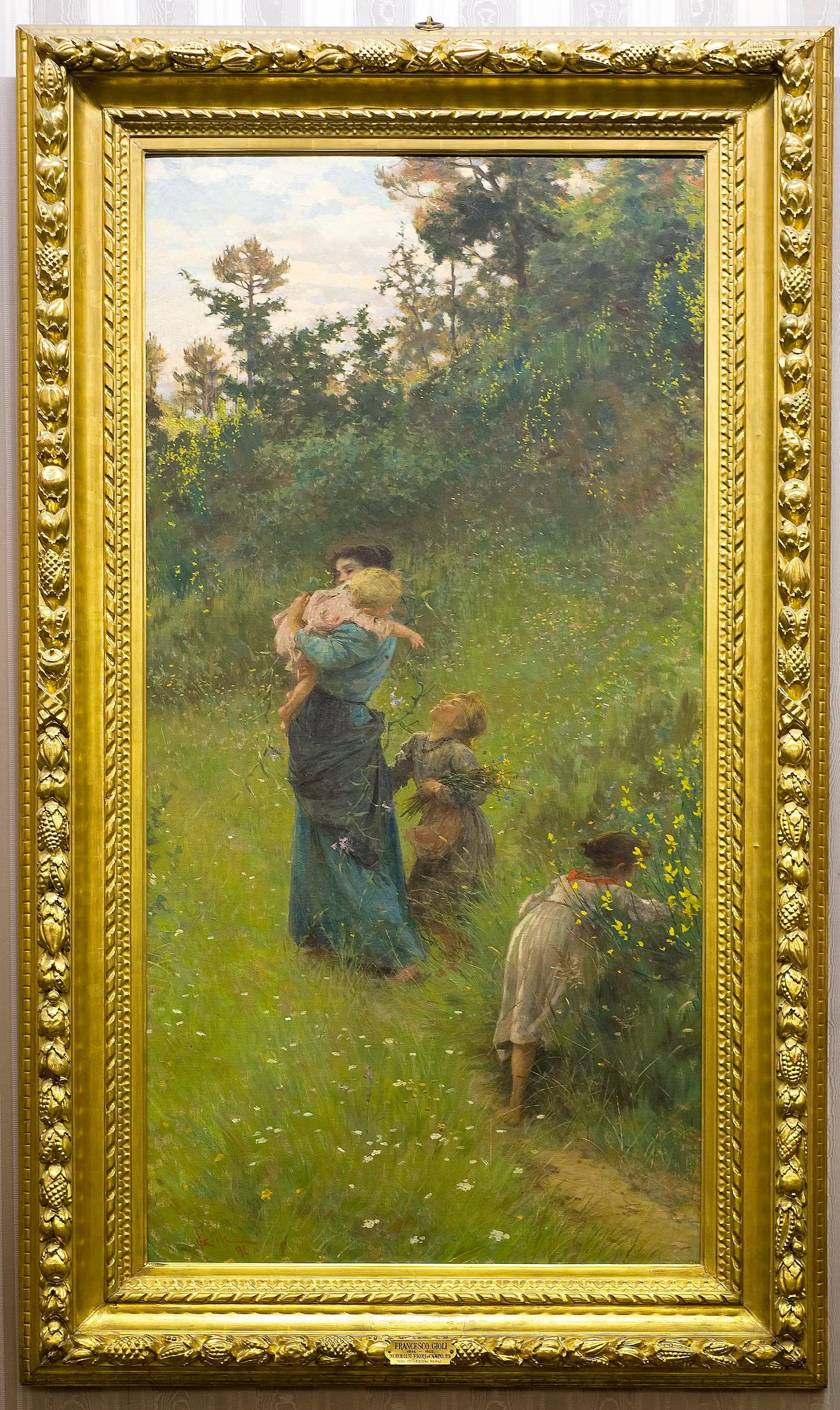 Field flowers