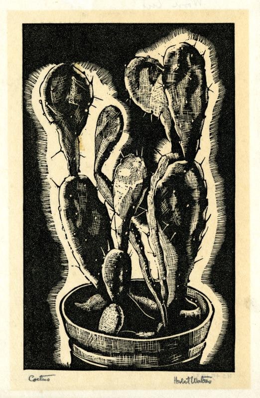 Cactus
