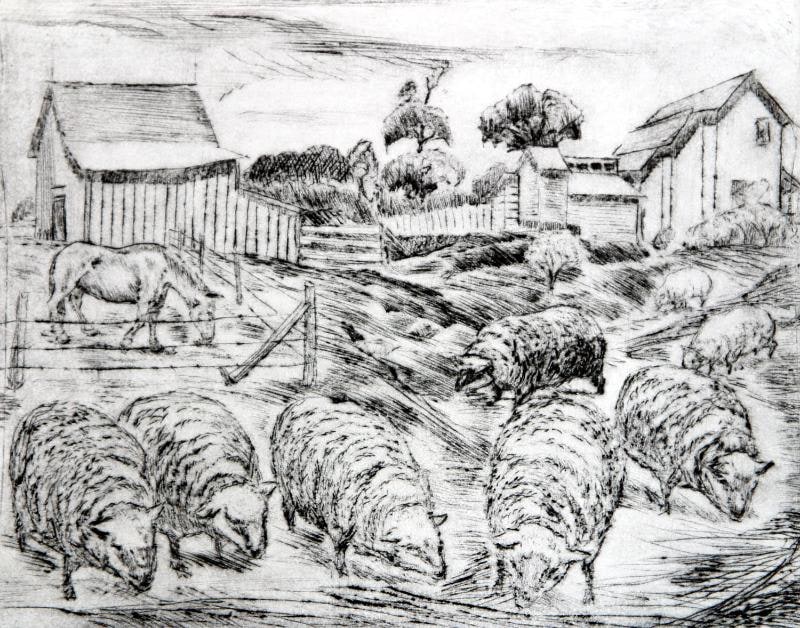 Grazing Sheep