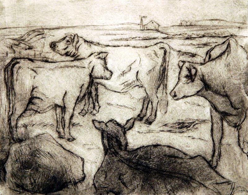 Cattle
