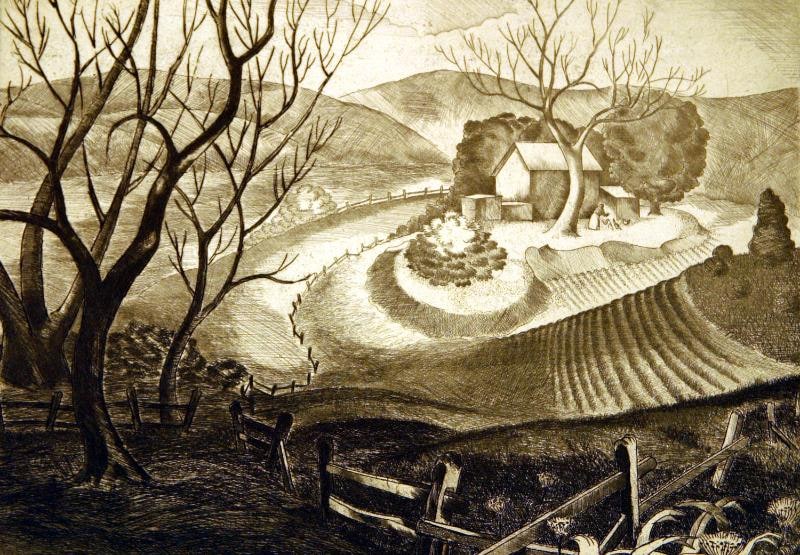 Landscape