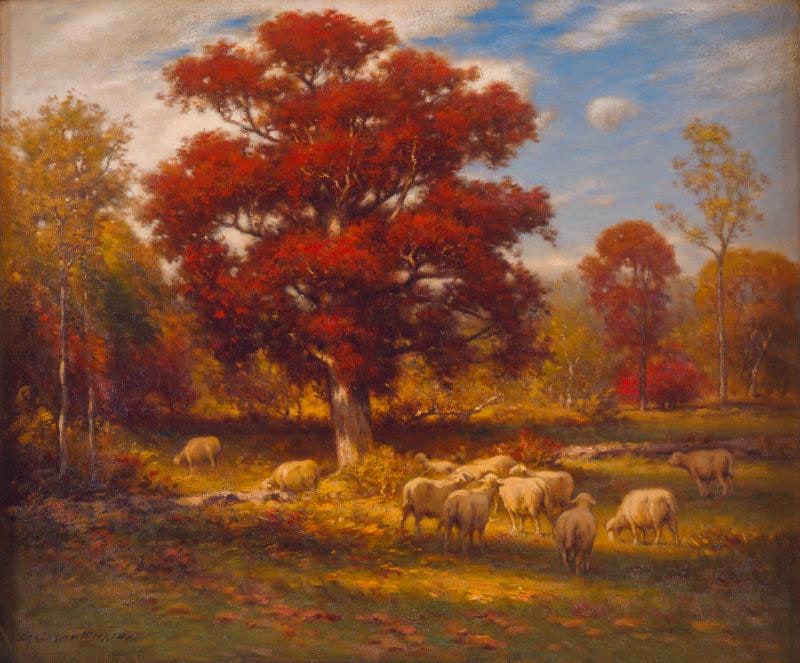 The Red Oak