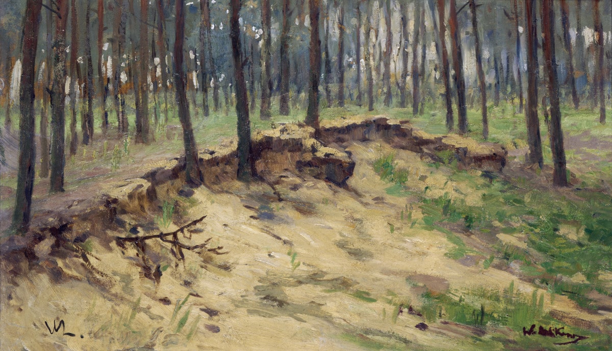 Waldstück mit Sandgrube