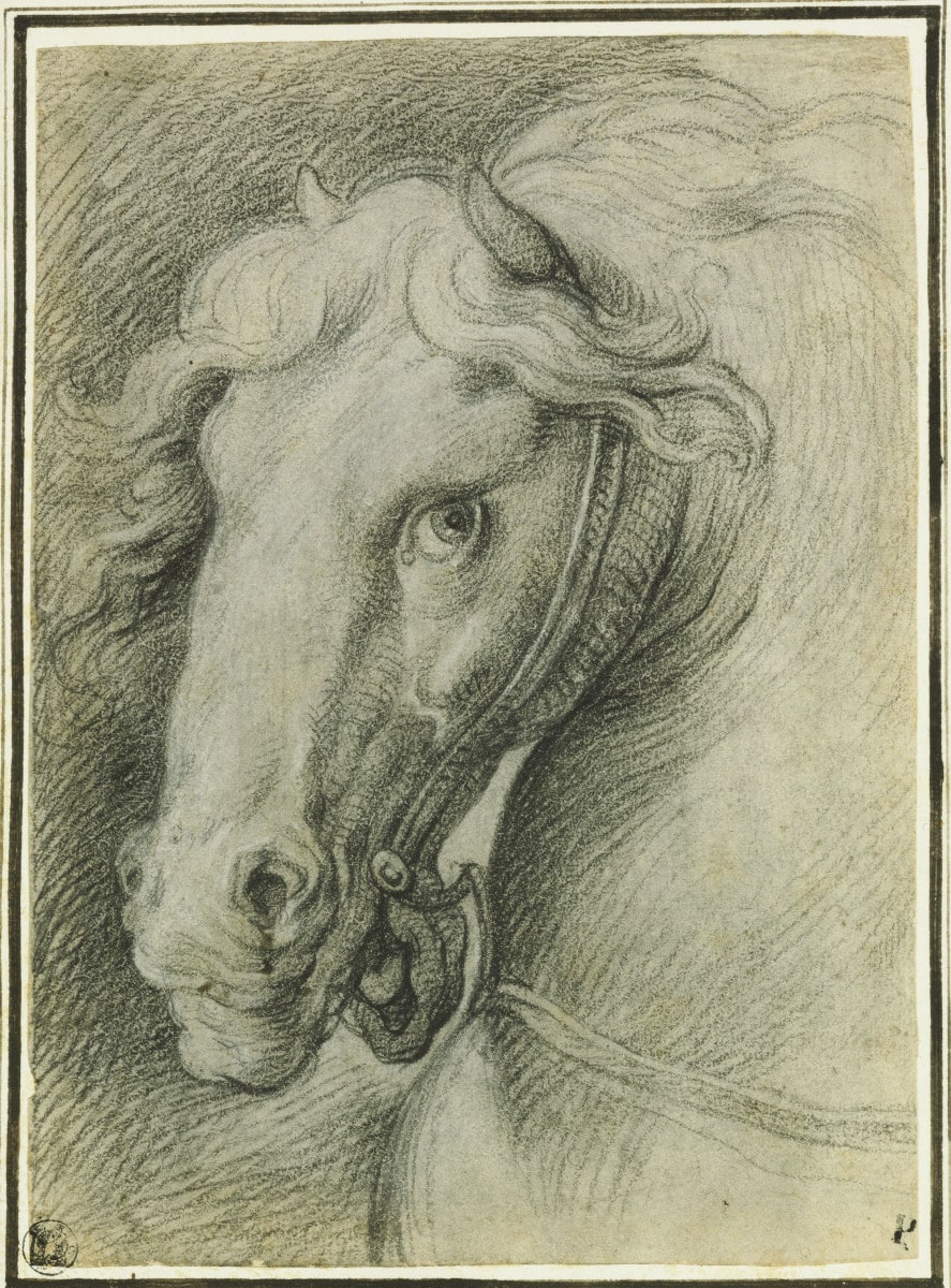 Studie für den Kopf des Pferdes von Tullus Hostilius (im Fresko "die Schlacht von Tullus Hostilius gegen die Vejer und Fidenäer")