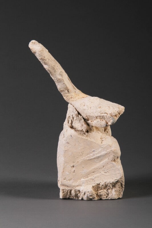 Foot with Turned Ankle