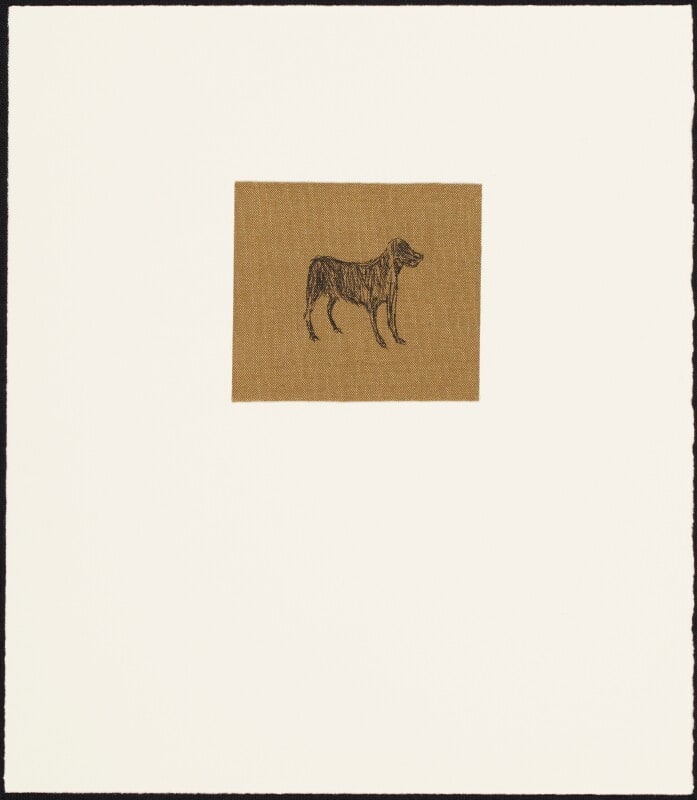 Dog from Portfolio "Mostly"