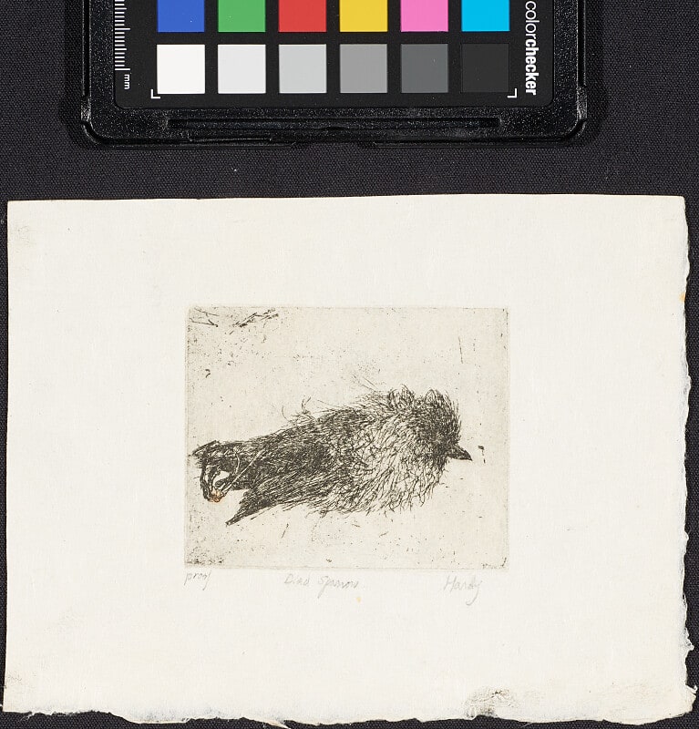 Dead Sparrow