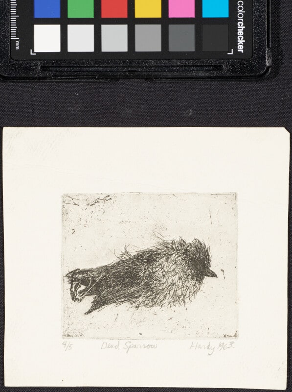 Dead Sparrow