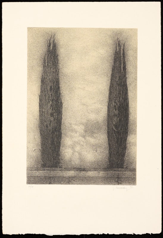 Cipreses (Cypruses)