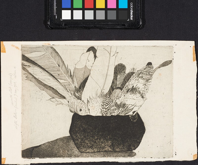Bowl of Feathers (7th State)
