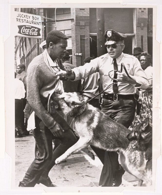 Attacked By Police Dog