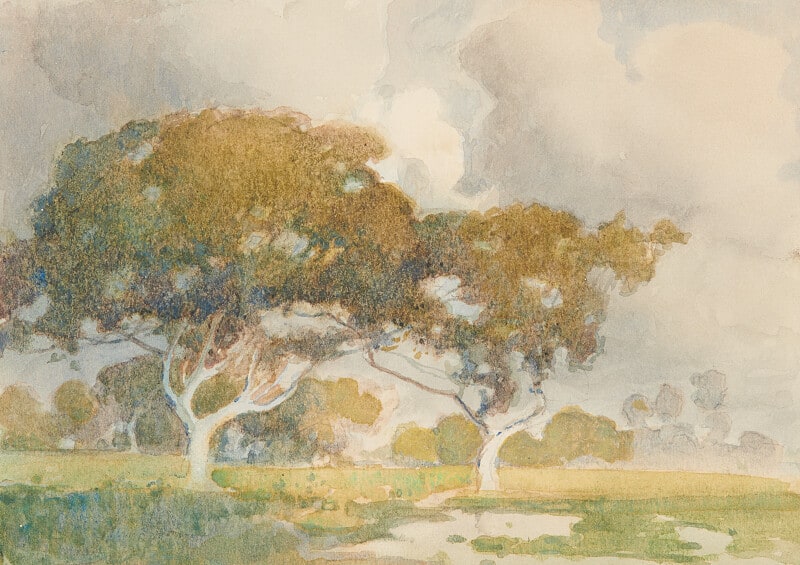 Alameda Oaks