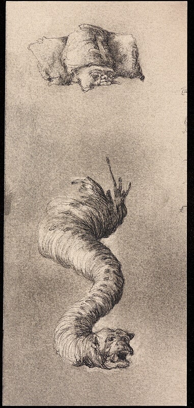 [Magician and Serpent]