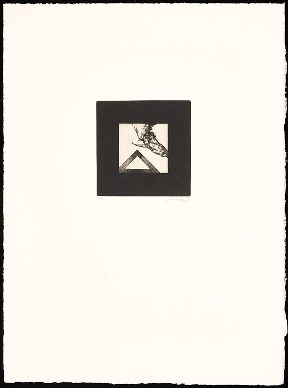 [Branch and Triangle]