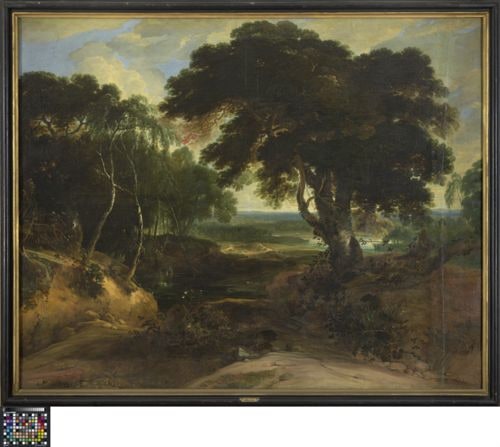 Wooded Landscape