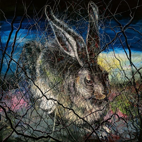 Hare