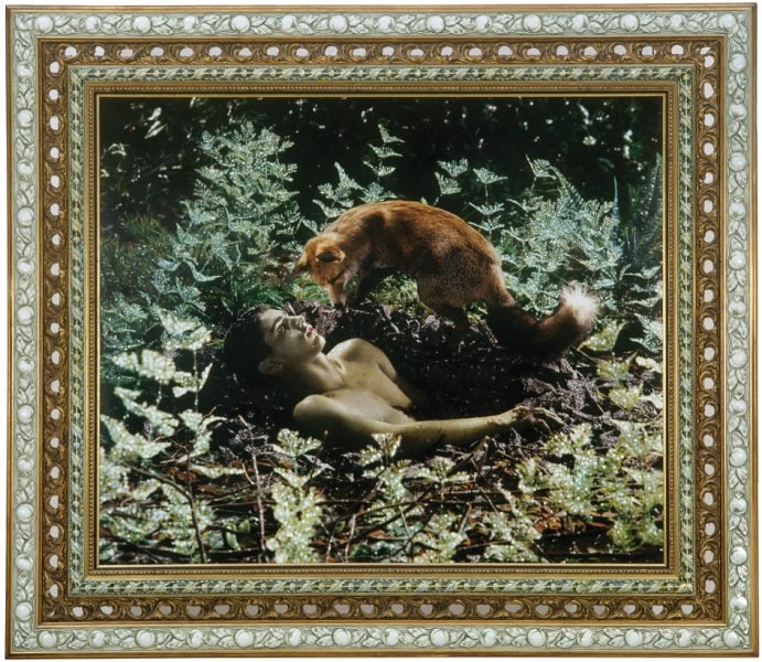 Le renard
