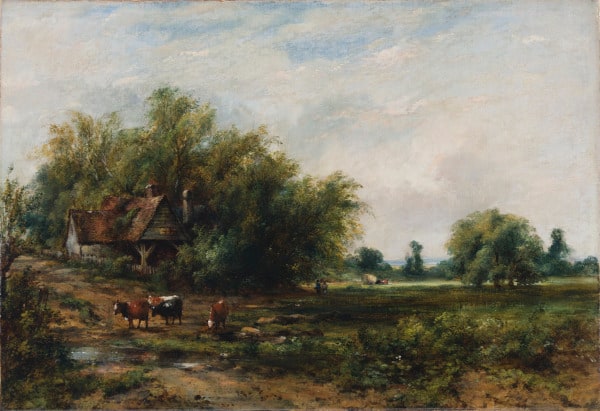 Near Hindhead, Surrey