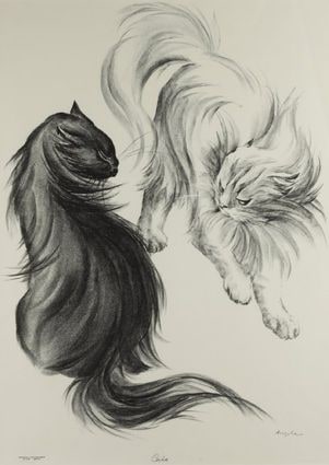 Cats