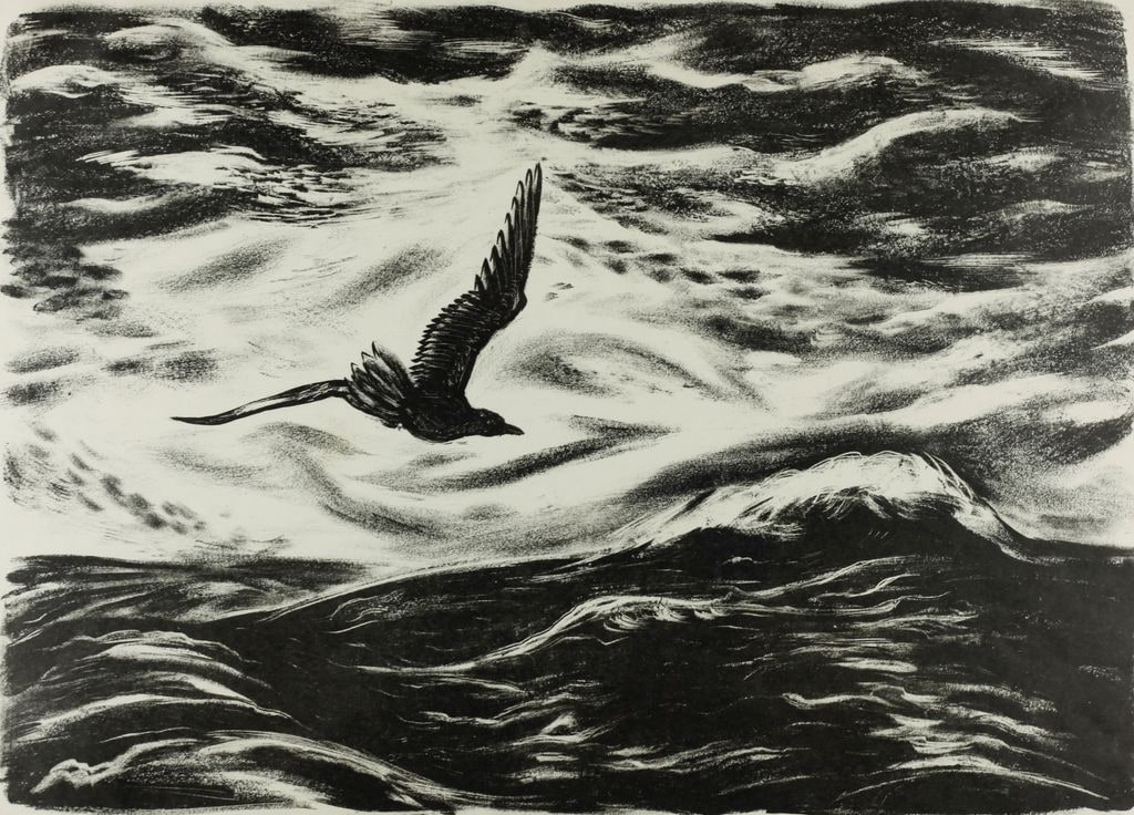 Flight