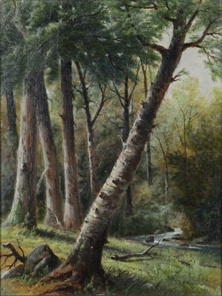 Forest in Western Maryland