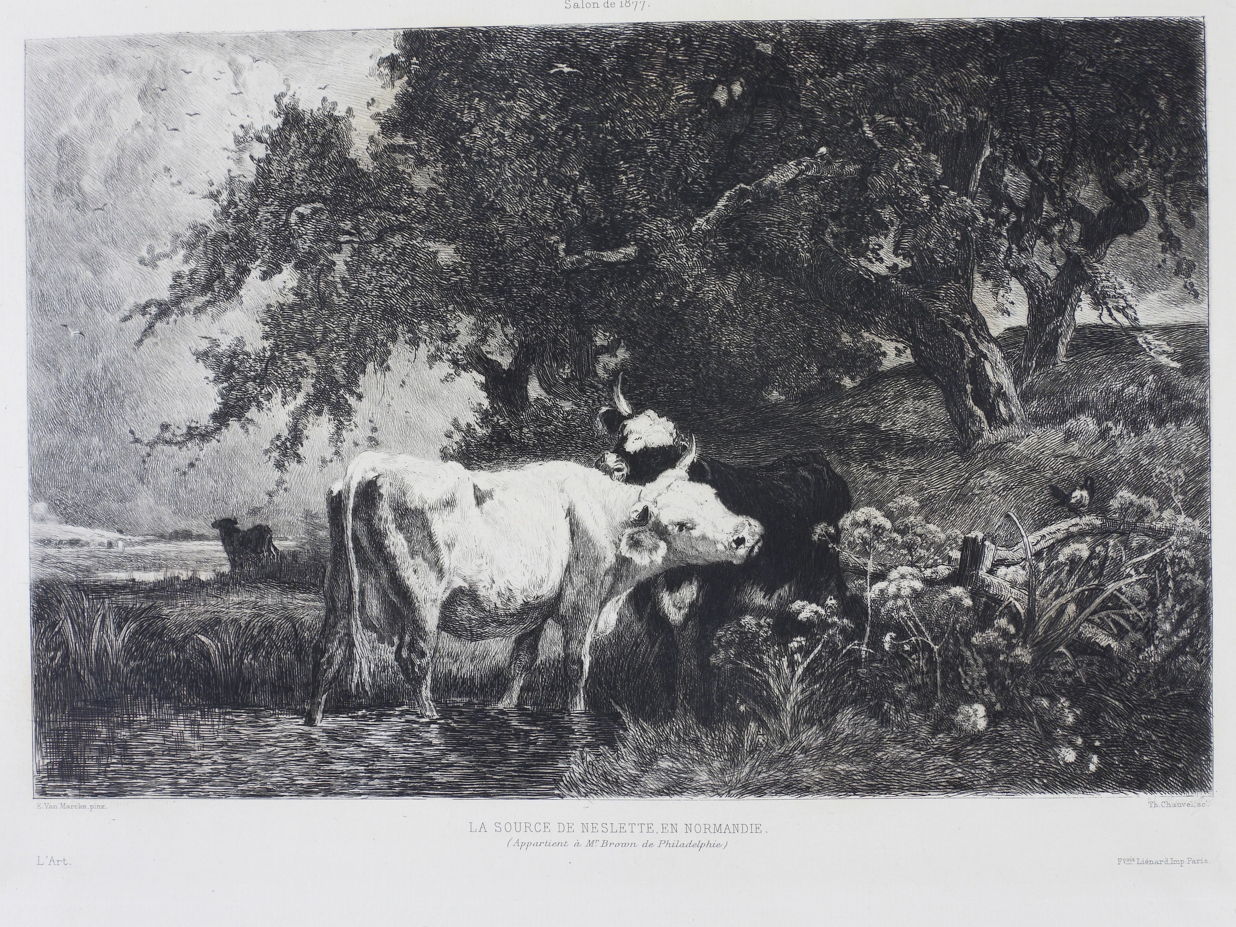 La source de Neslette, en Normandie,