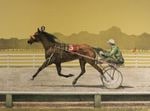 Standardbred 76/500