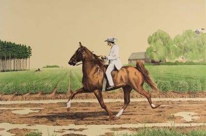 Tennessee Walker 80/500