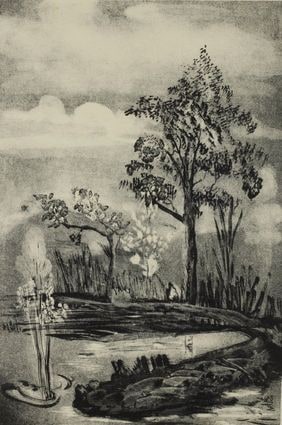 Trees in Spring